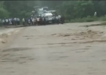 हल्द्वानी के शेर नाले के तेज बहाव में बह गया युवक, एसडीआरएफ खोजबीन में जुटी