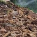 गंगोत्री राष्ट्रीय राजमार्ग धरासू बैंड के पास भारी भूस्खलन से चार घंटे तक रहा बाधित