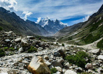 गंगोत्री नेशनल पार्क में आज से बढ़ जाएगी एंट्री फीस, फूलों की घाटी का दीदार भी महंगा