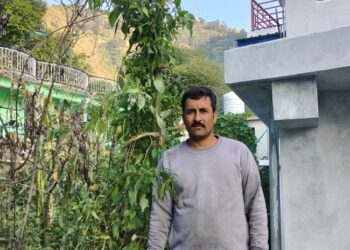 कैम्पटी फॉल के तलोगी गांव में किसान सुरेन्द्र सिंह ने उगाया दस फीट ऊंचा मिर्च का पेड़