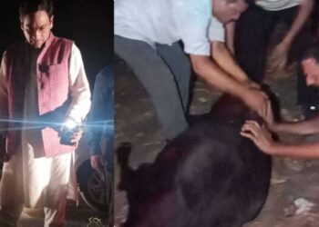 मंत्री हो तो ऐसा, जानिए क्यों सोशल मीडिया में हो रही मंत्री सौरभ बहुगुणा की तारीफ