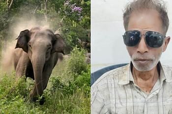 जंगल में चारा पत्ती लेने गए बुजुर्ग को हाथी ने कुचलकर मार डाला, तीन दिन बाद मिला शव..