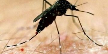 कोटद्वार में एक और मौत, प्रदेश में लगातार बढ़ती जा रही डेंगू के मरीजों की संख्या