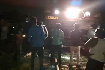 देर रात उपासना एक्सप्रेस की चपेट में आकर हाथी की मौत, वन विभाग में मचा हड़कंप