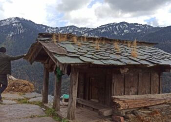 उत्तराखंड का सीमांत गांव पिनस्वाड,जहां प्रकृति के हैं सबसे सुंदर दृश्य,यहां अब तक कोई नहीं पा सका सरकारी नौकरी..