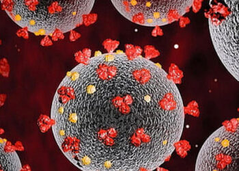 सांस, फेफड़े और दिल के मरीजों की होगी निगरानी, उत्तराखंड में अभी नए वेरिएंट का कोई मामला नहीं