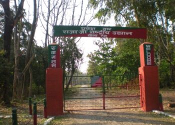 जंगल सफारी आज से शुरू, हादसे के कारण तीन दिन से थी बंद