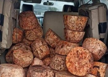 202नग काजल की गांठो के साथ तस्कर गिरफ्तार