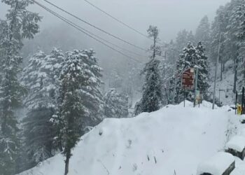 चकराता त्यूनी मोटर मार्ग पर जेसीबी और स्नो कटर मशीन से हटायी जा रही बर्फ