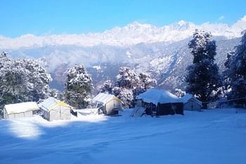 पहली बर्फबारी के बाद मिनी स्विटजरलैंड चोपता में उमड़ने लगे पर्यटक, होटलों में 11 तक बुकिंग फुल