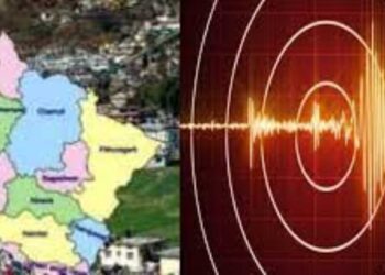 यहाँ डोली भूकंप से धरती