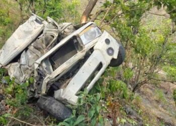 छोटा कैलाश जा रही पिकप खाई में गिरी, दो लोगों की दर्दनाक मौत