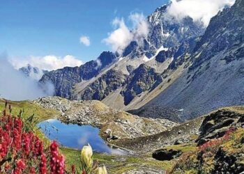 सप्तकुंडः उत्तराखंड की निजमुला घाटी में फूलों का एक अलग संसार