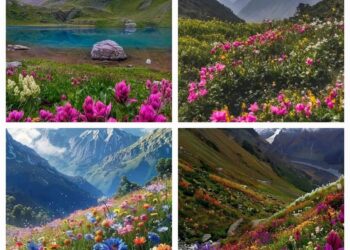 वैली ऑफ फ्लावर्स- विश्व धरोहर स्थल वैली ऑफ फ्लावर्स कल से खुलेगा प्रकृति प्रेमियों के लिए