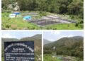 ल्वांणी गांव के काश्तकारों की आर्थिक मजबूती का आधार बन रहा मत्स्य पालन