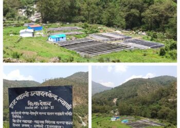 ल्वांणी गांव के काश्तकारों की आर्थिक मजबूती का आधार बन रहा मत्स्य पालन