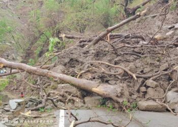 लगातार बारिश से भारी भूस्खलन, यात्रियों से भरी मैक्स आई चपेट में, एक व्यक्ति लापता