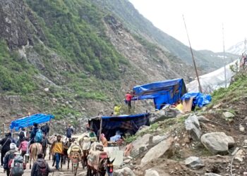 केदारनाथ यात्रा में घोड़ा – खच्चर संचालन का तारतम्य बिगाड़ने की कोशिश,घोड़ा- खच्चर संचालक भी ज्यादा धन कमाने के लालच में माल की जगह श्रद्धालुओं को पहुंचा रहे धाम