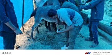 केदारनाथ यात्रा मार्ग में 951 घोड़े- खच्चर ब्लॉक, 3315 का परीक्षण, 1086 का ईलाज,कोटमा में 200 घोड़े- खच्चरों के लिए बनेगा आधुनिक सुविधाओं से लैस अस्पताल