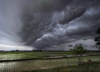 मानसून में 34 जेसीबी रखेंगे रुद्रप्रयाग की सड़कों का ख्याल,राष्ट्रीय राजमार्ग, लोक निर्माण विभाग एवं पीएमजीएसवाई ने डेंजर जोन चिन्हित कर तैनात किए जेसीबी