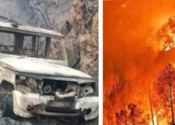 अल्मोड़ा वनाग्नि- बिनसर अभयारण्य वनाग्नि में झुलसे पीआरडी जवान की भी दिल्ली एम्स में मौत, मृतकों की संख्या हुई छह