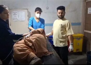 घास काट रही महिला पर बाघ ने किया हमला,महिला गंभीर रूप से हुई घायल