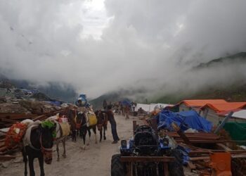 घोड़े- खच्चरों की आवाजाही के लिए खुला केदारनाथ मार्ग