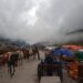 घोड़े- खच्चरों की आवाजाही के लिए खुला केदारनाथ मार्ग