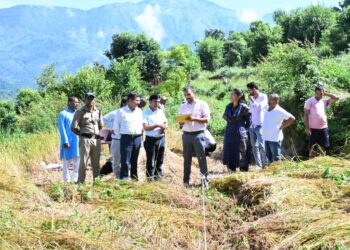 रतूड़ा गांव में कृषक वीरेंद्र सिंह के खेत में की गई धान की क्राॅप कटिंग, डीएम रहे मौजूद