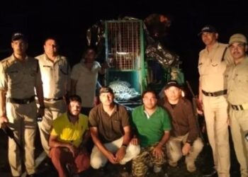 पिंजरे में कैद हुआ आदमखोर गुलदार, घर में खेल रहे बच्चे को बनाया था शिकार