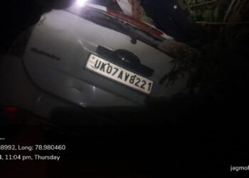 अनियंत्रित होकर गहरी खाई में गिरा वाहन,दो युवकों की हालत गंभीर