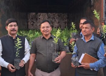 चंदन के पेड़ों से होगी महिला समूहों की आर्थिकी मजबूत