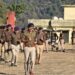 रिजर्व पुलिस लाइन रतूड़ा (रुद्रप्रयाग) में हुआ शुक्रवार की साप्ताहिक परेड का आयोजन