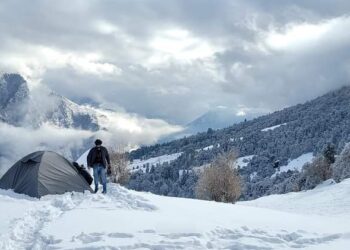 देहरादून समेत इन जिलों में कोहरे के येलो अलर्ट जारी। देखें मौसम का साप्ताहिक पूर्वानुमान