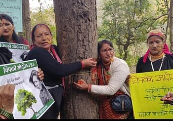 उत्तराखंड में यहां पेड़ों से चिपक गई महिलाएं, सड़कों पर उतरे हजारों पर्यावरण प्रेमी