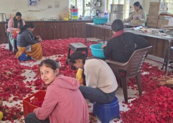 पौड़ी जिले में बुरांस के फूल बने ग्रामीण महिलाओं की आर्थिकी के स्रोत