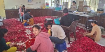 पौड़ी जिले में बुरांस के फूल बने ग्रामीण महिलाओं की आर्थिकी के स्रोत