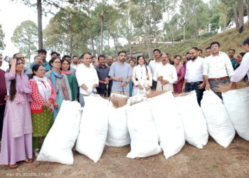 वनाग्नि से बचाव हेतु पिरूल संकलन अभियान, जिलाधिकारी डॉ. आशीष चौहान की नवाचार पहल