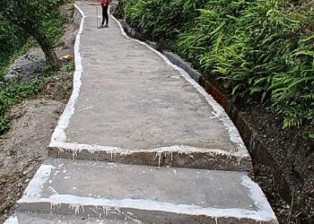 नव निर्मित रास्ते से डोली गुजरने से खुश हुए बाबा के भक्त