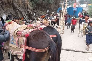 यात्रा में घोड़ा-खच्चर बीमार हुए तो होंगे क्वारंटीन, कोटमा और फाटा में स्थापित किए गए सेंटर