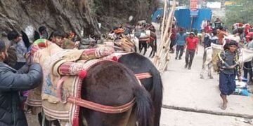 यात्रा में घोड़ा-खच्चर बीमार हुए तो होंगे क्वारंटीन, कोटमा और फाटा में स्थापित किए गए सेंटर