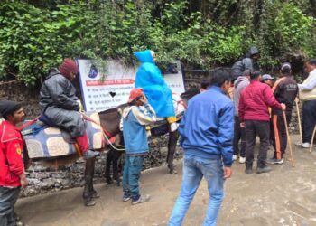 केदारनाथ यात्रा में घोड़े-खच्चरों की वापसी: इक्वाइन इन्फ्लुएंजा से राहत के बाद आज 3,410 घोड़े-खच्चर हुए रवाना