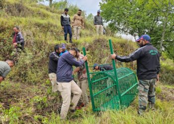 गुलदार हमले के बाद वन विभाग अलर्ट मोड में,ग्रामीण की मौत के बाद वन विभाग की दो टीमें तैनात, पिंजरे और ट्रैंक्विलाइजिंग टीम सक्रिय
