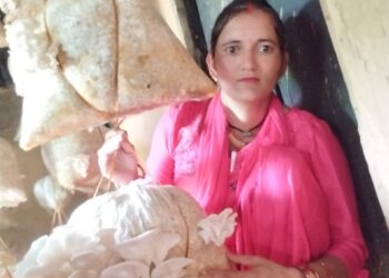 सफलता की कहानी:मशरूम उत्पादन से बदली तक़दीर, अब हर महीने 18 हजार कमा रहीं माहेश्वरी देवी,धरीगांव की महिला ने ग्रामोत्थान परियोजना से सीखा स्वरोजगार का हुनर