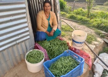एक सफलता ऐसी भी “मेहनत, लगन और आत्मविश्वास की मिसाल – रोशमा देवी