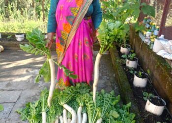 सूक्ष्म सिंचाई तकनीक से महिला कृषक बनी आत्मनिर्भर! कम पानी में अधिक उत्पादन कर बिछना देवी ने उदाहरण किया पेश….