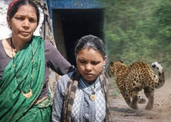 यहाँ महिला पर झपट पड़ा गुलदार, हुआ संघर्ष