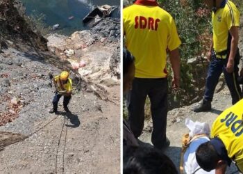 यहाँ खाई में गिरा पिकअप वाहन, चालक की हो गई