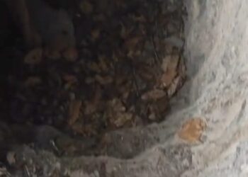 कोट ब्लॉक में प्राचीन पुरातात्विक सुरंग की खोज, ऐतिहासिक धरोहर के महत्वपूर्ण साक्ष्य मिलने के संकेत