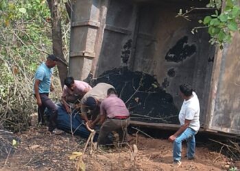कीर्तिनगर में जाखी मोटरमार्ग पर खाई में गिरा ट्रक, चालक की मौके पर मौत